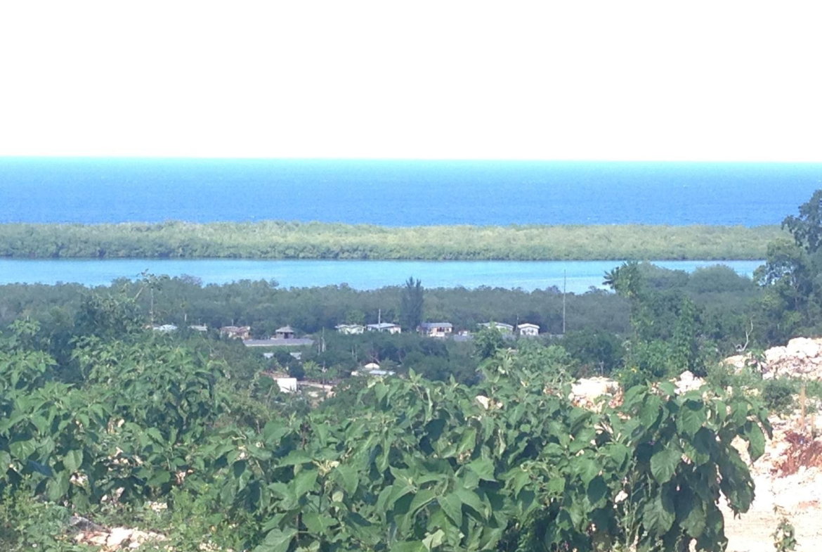 Fifteenth image of 7 Lakeshore - Greenside Fal in Greenside, Trelawny, Jamaica - property is For Sale