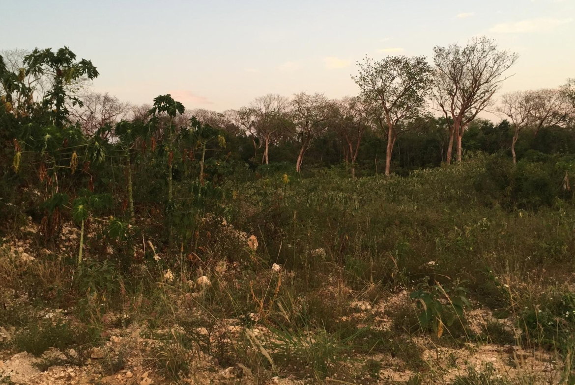 Ninth image of 32 Lakeshore - Greenside Fal in Greenside, Trelawny, Jamaica - property is For Sale