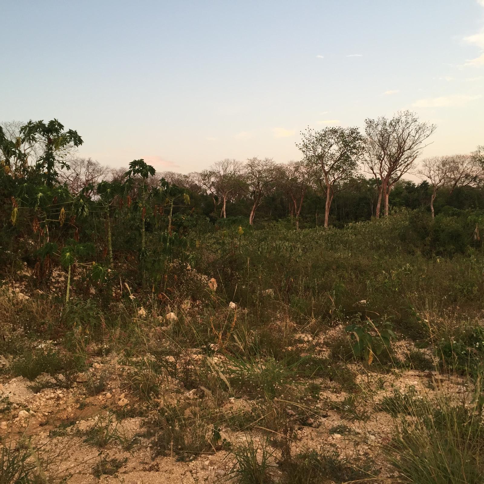 Ninth image of 11 Lakeshore - Greenside Fal in Greenside, Trelawny, Jamaica - property is For Sale