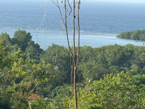 Seventh image of 26 Lakeshore, Greenside in Greenside, Trelawny, Jamaica - property is For Sale