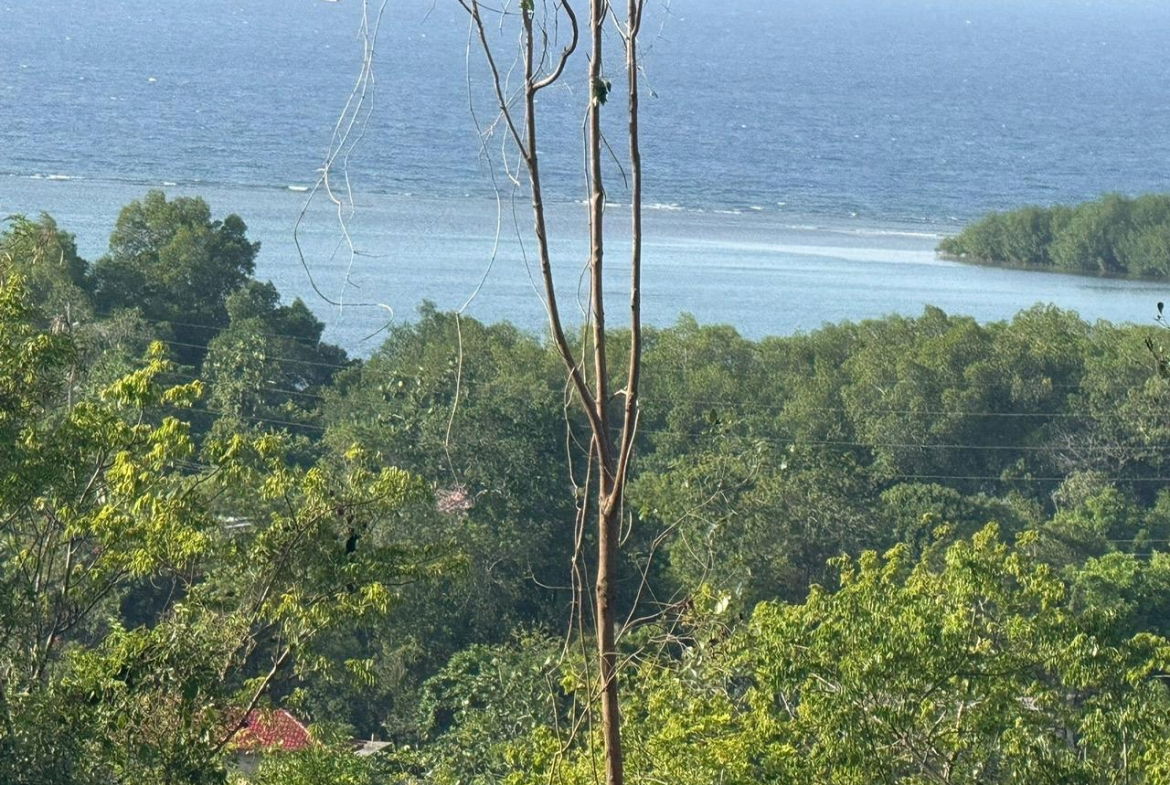 Seventh image of 33 Lakeshore, Greenside in Greenside, Trelawny, Jamaica - property is For Sale