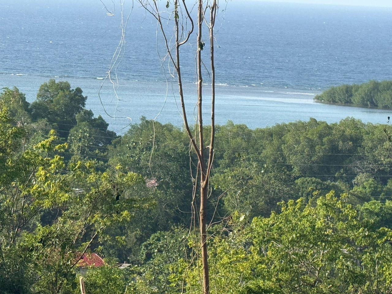 Seventh image of 33 Lakeshore, Greenside in Greenside, Trelawny, Jamaica - property is For Sale