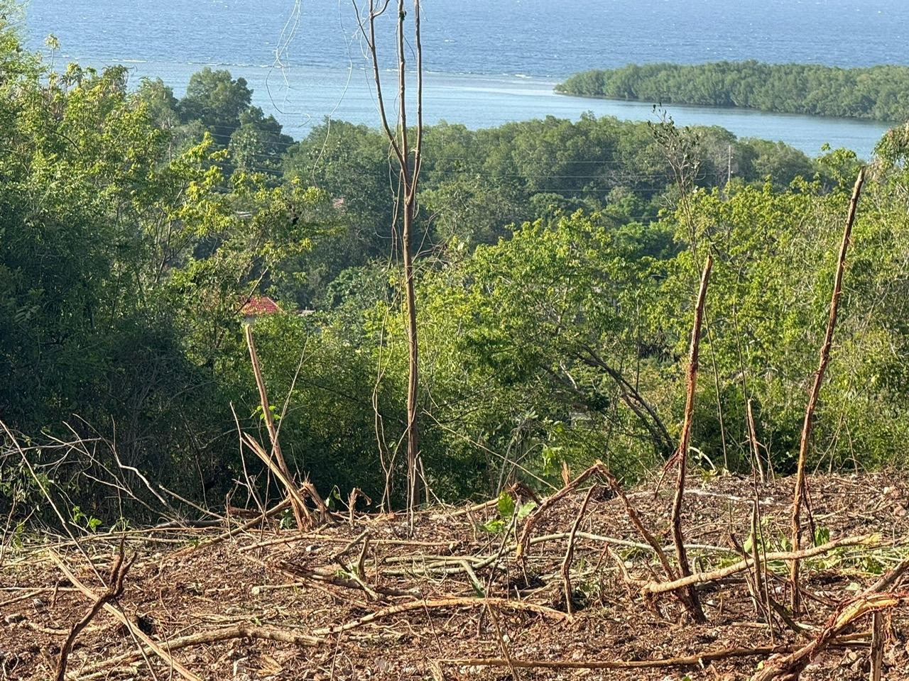 Tenth image of 13 Lakeshore, Greenside in Greenside, Trelawny, Jamaica - property is For Sale