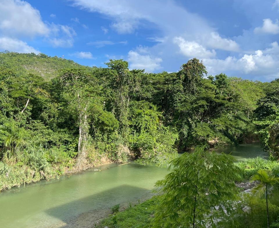 Eleventh image of C-36- Bessa Resorts in Oracabessa, St. Mary, Jamaica - property is For Sale