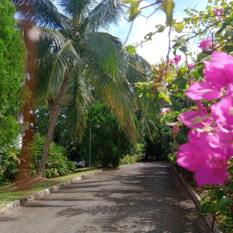 First image of 7- Tower Isle in Tower Isle, St. Mary, Jamaica - property is For Sale