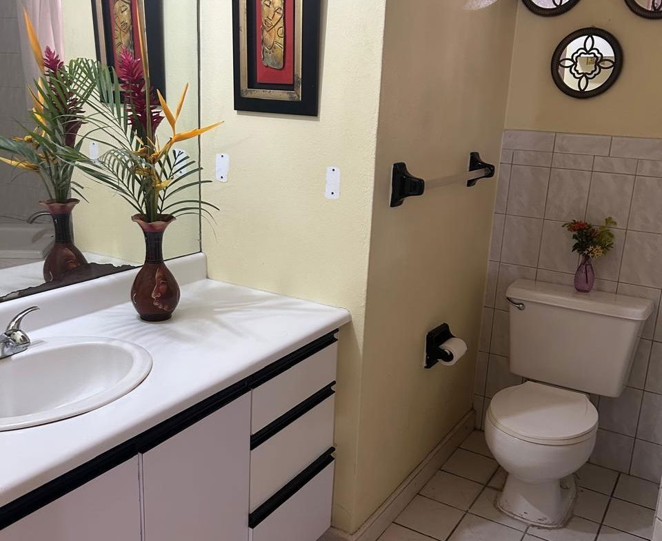 Ninth image of 4-6 Louisville Road, Kingston in Kingston 8, St. Andrew, Jamaica - property is For Sale