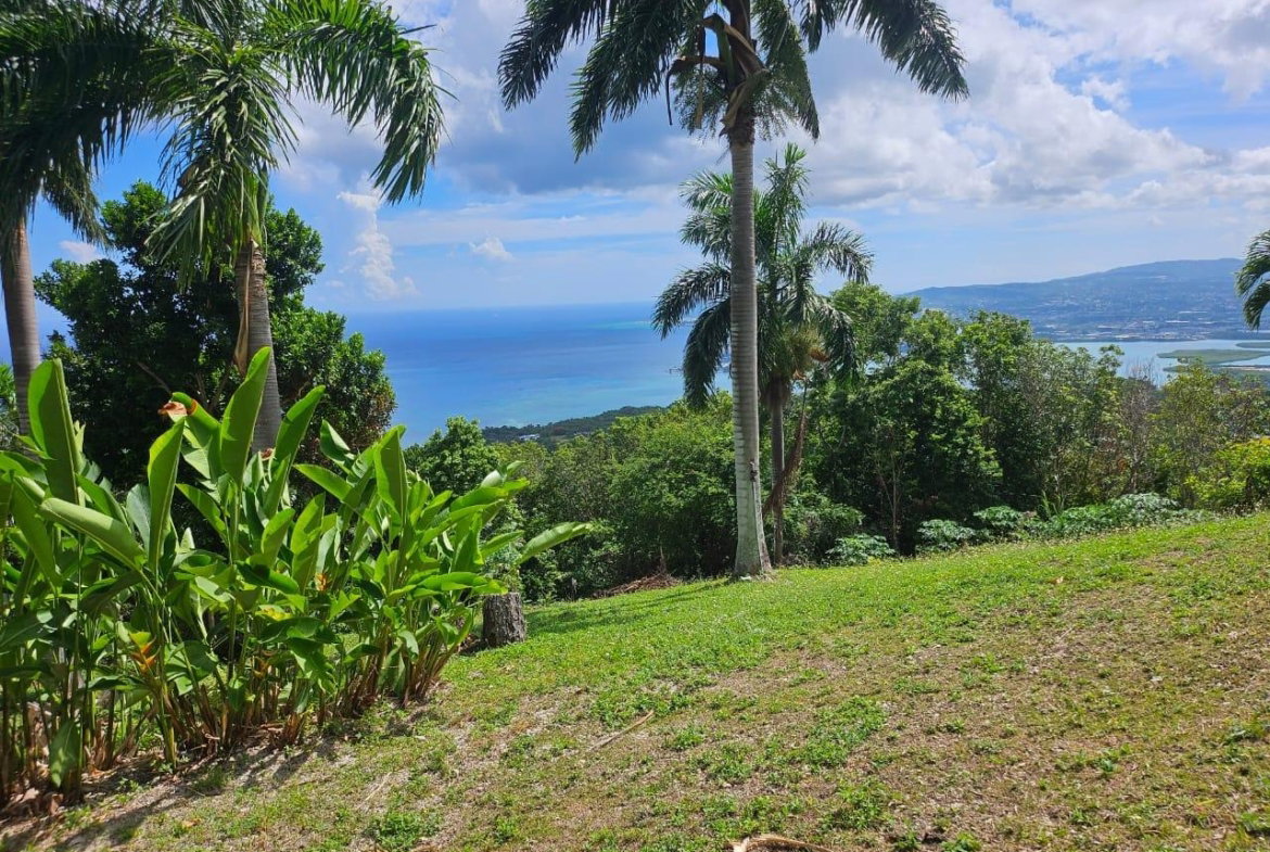 Fifth image of Spring Garden, St. James in Montego Bay, St. James, Jamaica - property is For Sale