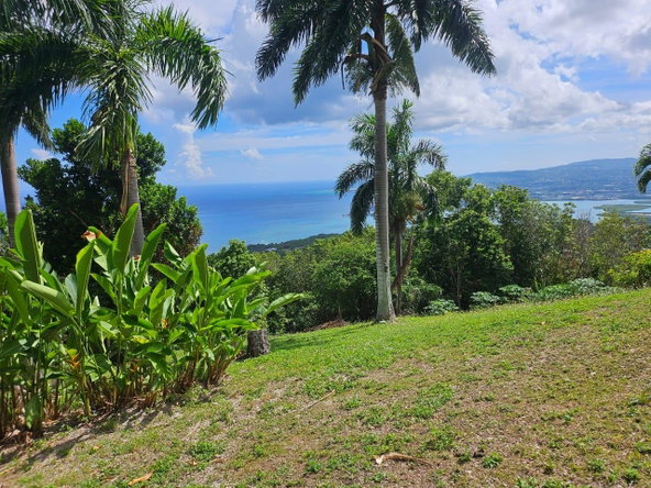 Fifth image of Spring Garden, St. James in Montego Bay, St. James, Jamaica - property is For Sale