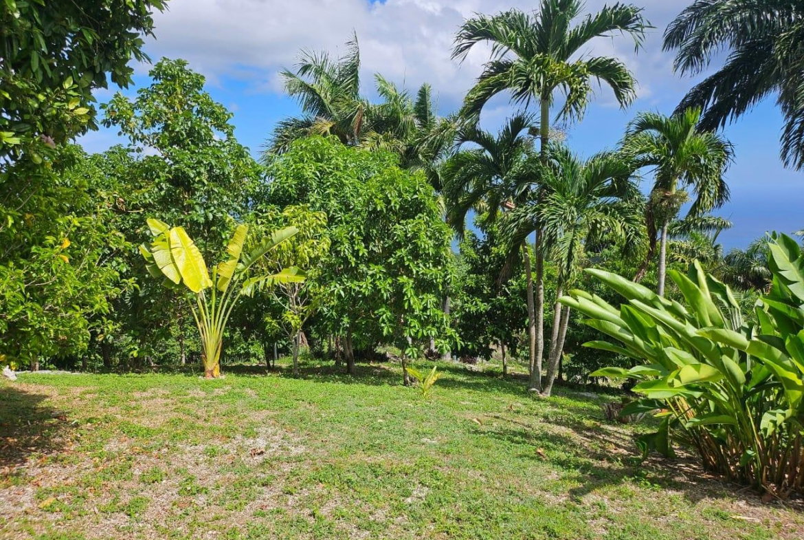 Sixth image of Spring Garden, St. James in Montego Bay, St. James, Jamaica - property is For Sale