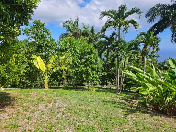 Sixth image of Spring Garden, St. James in Montego Bay, St. James, Jamaica - property is For Sale