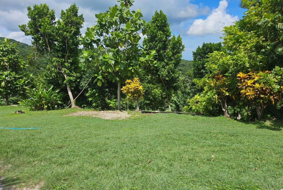 Seventh image of Spring Garden, St. James in Montego Bay, St. James, Jamaica - property is For Sale