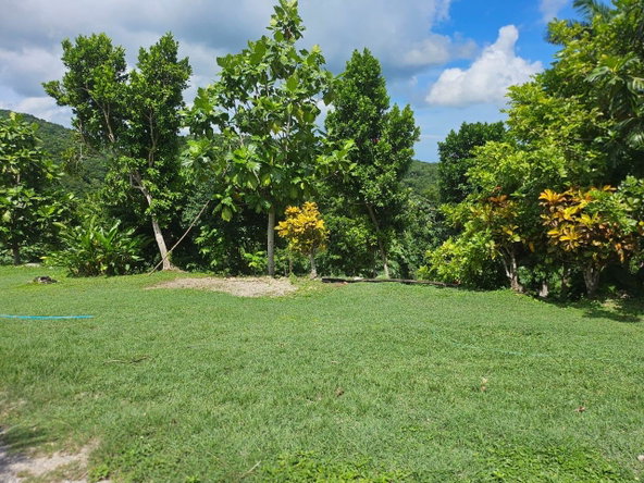 Seventh image of Spring Garden, St. James in Montego Bay, St. James, Jamaica - property is For Sale