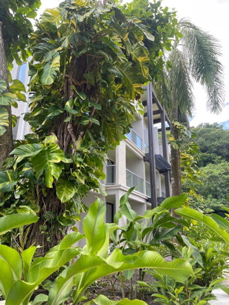 Sixth image of 32-bessa Oracabessa in Oracabessa, St. Mary, Jamaica - property is For Sale