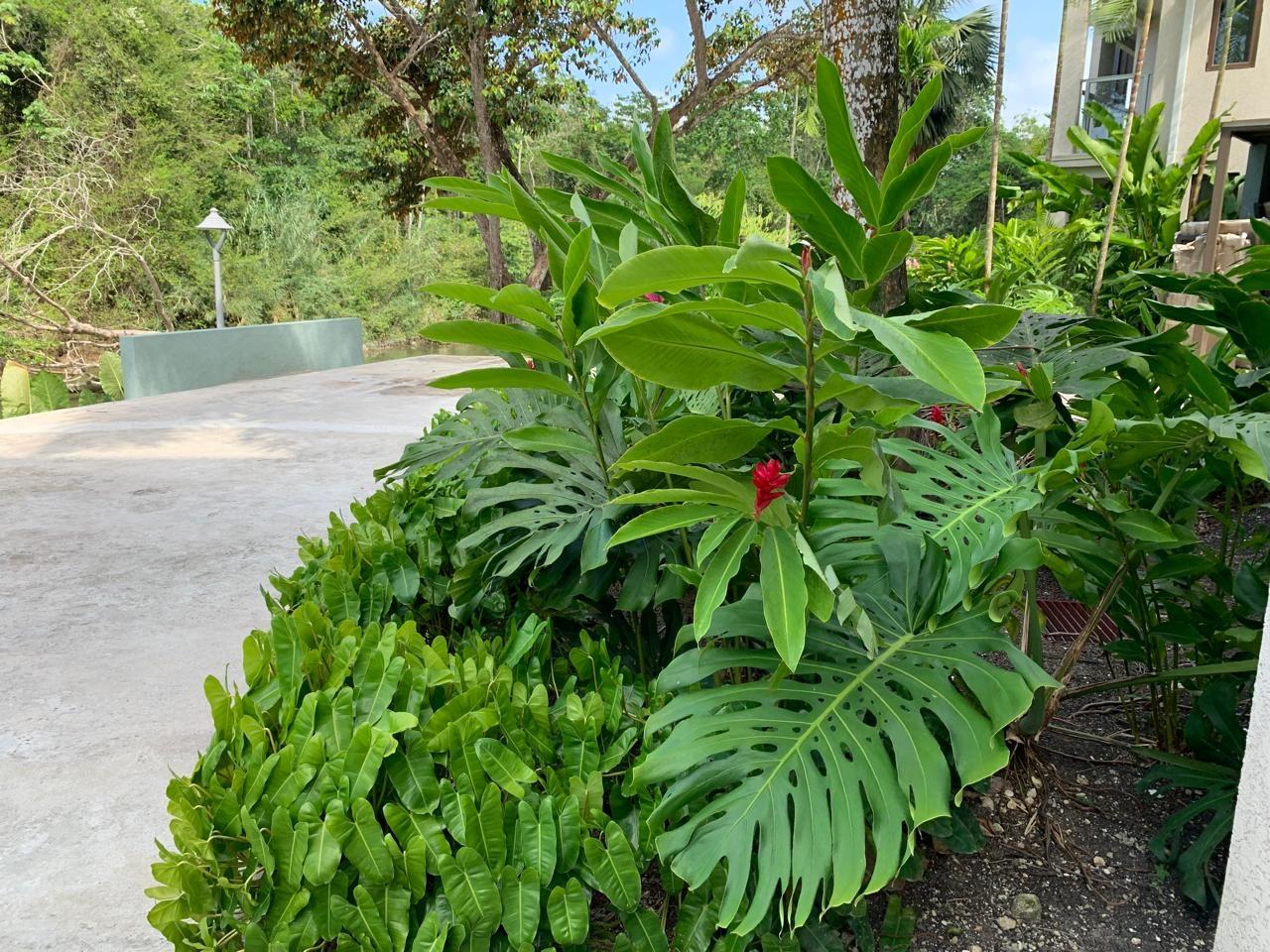 Ninth image of 8-block a Oracabessa, St. Mary in Oracabessa, St. Mary, Jamaica - property is For Sale