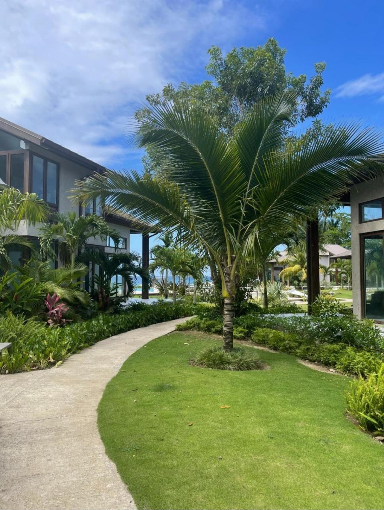 Fourth image of C37-oracabessa St. Mary in Oracabessa, St. Mary, Jamaica - property is For Sale