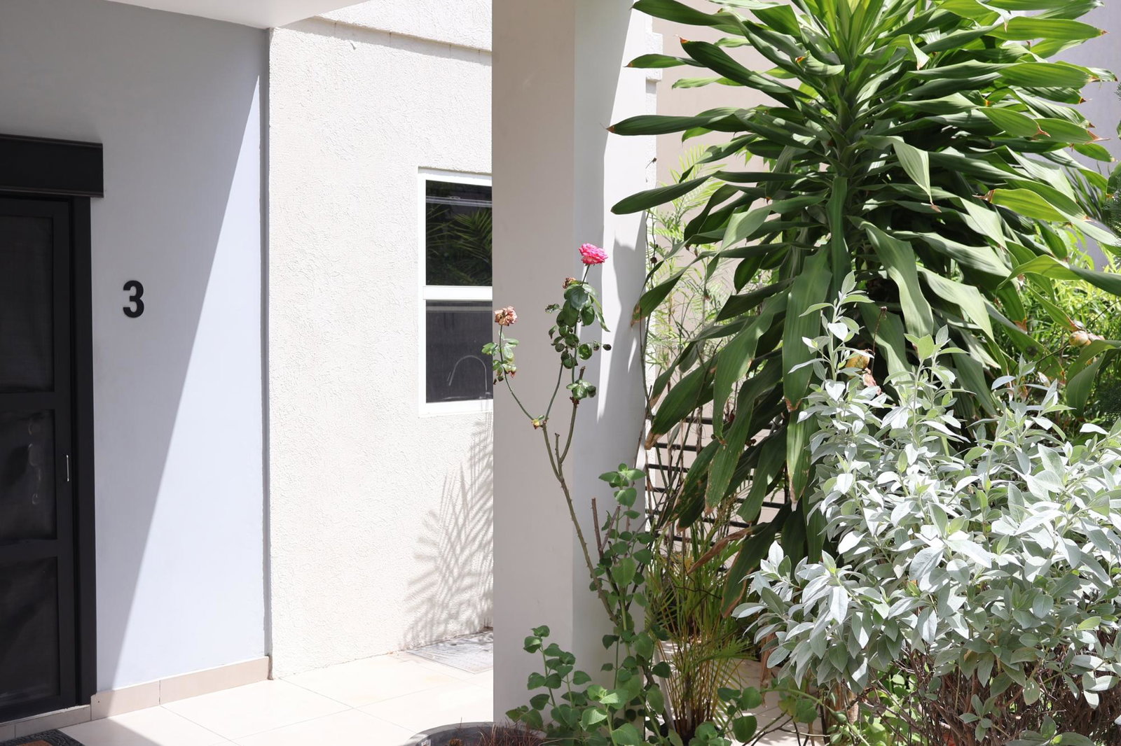 Tenth image of 3-5 Degenhart Close, Mcauley in Kingston 6, St. Andrew, Jamaica - property is For Rent