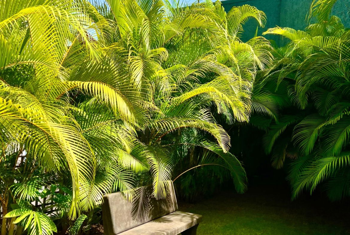 Twenty-Fifth image of 12-238 Mannings Hill Road in Stony Hill P.O., St. Andrew, Jamaica - property is For Rent