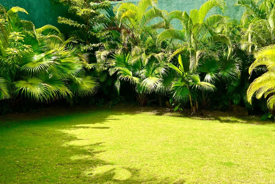 Twenty-Sixth image of 12-238 Mannings Hill Road in Stony Hill P.O., St. Andrew, Jamaica - property is For Rent