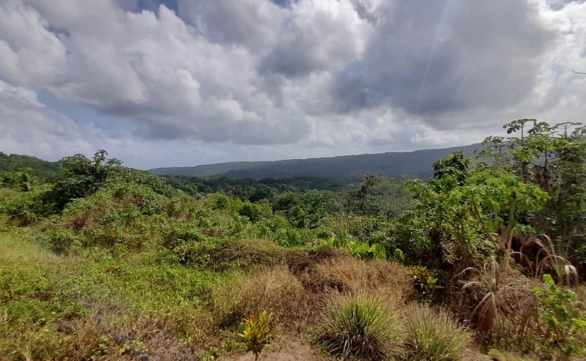 Twentieth image of 8 Sanctuary Way in Retreat, St. Mary, Jamaica - property is For Sale