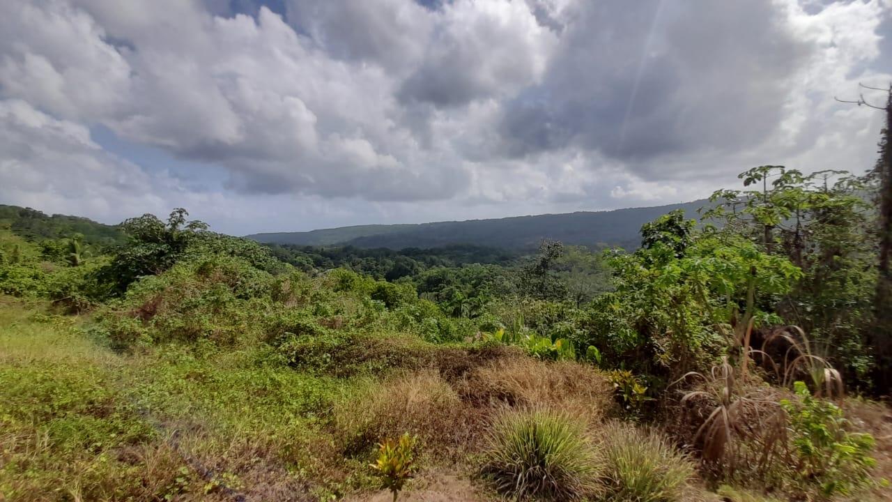 Twentieth image of 8 Sanctuary Way in Retreat, St. Mary, Jamaica - property is For Sale