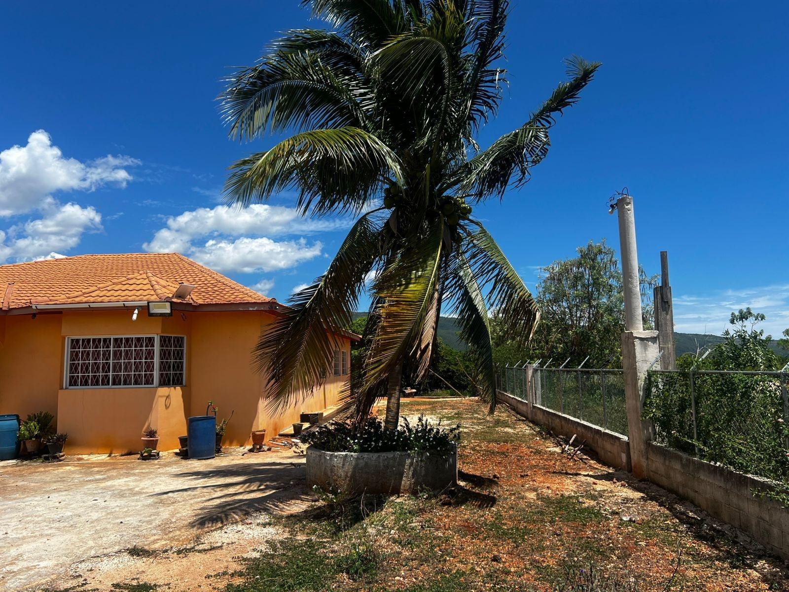 Ninth image of Lititz, Junction in Junction, St. Elizabeth, Jamaica - property is For Sale