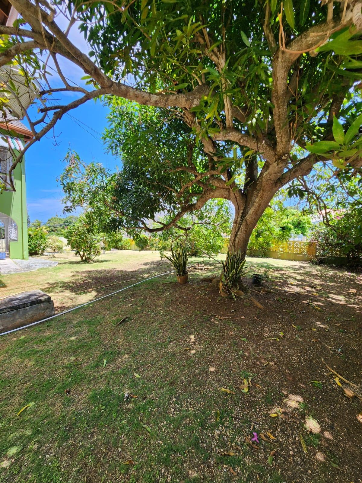 Thirteenth image of 128 Reid's Drive, Tower Isle, in Tower Isle, St. Mary, Jamaica - property is For Sale