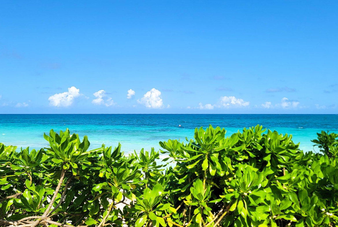 Twentieth image of 171 Silver Sands Estates in SILVER SANDS, Trelawny, Jamaica - property is For Sale
