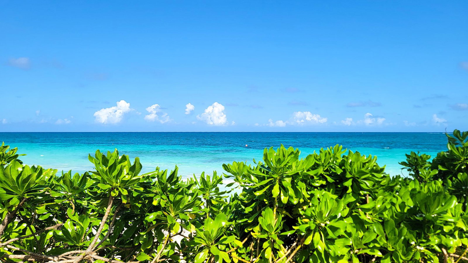 Twentieth image of 171 Silver Sands Estates in SILVER SANDS, Trelawny, Jamaica - property is For Sale