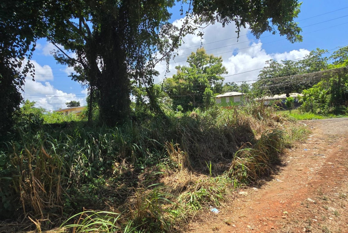 Fifth image of 0000-00 Charles Town St.mary in Charles Town, St. Mary, Jamaica - property is For Sale