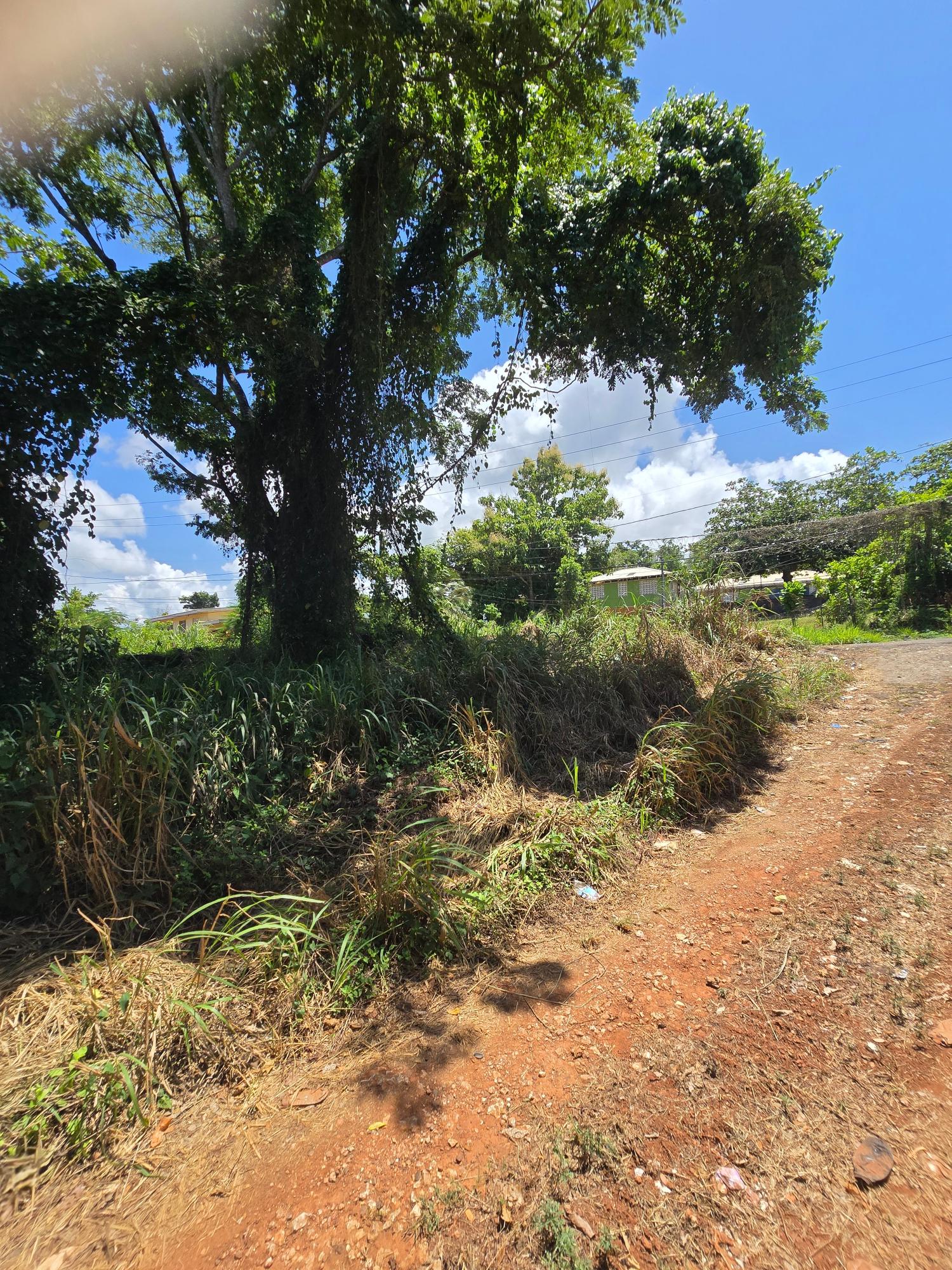 Fifth image of 0000-00 Charles Town St.mary in Charles Town, St. Mary, Jamaica - property is For Sale