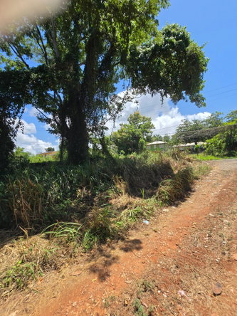 Fifth image of 0000-00 Charles Town St.mary in Charles Town, St. Mary, Jamaica - property is For Sale