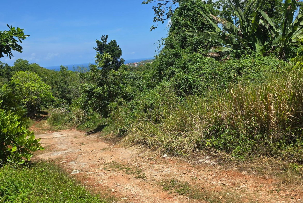 Seventh image of 0000-00 Charles Town St.mary in Charles Town, St. Mary, Jamaica - property is For Sale