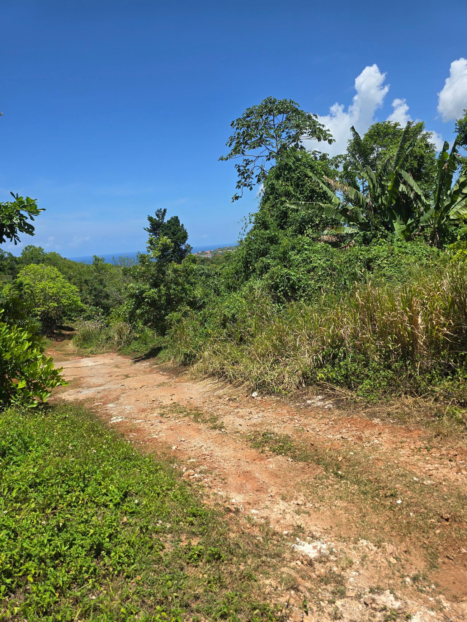 Seventh image of 0000-00 Charles Town St.mary in Charles Town, St. Mary, Jamaica - property is For Sale