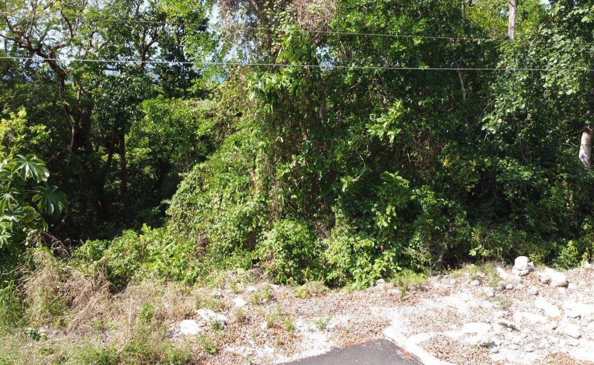 Twelfth image of Roystonea, Tower Isle in Tower Isle, St. Mary, Jamaica - property is For Sale
