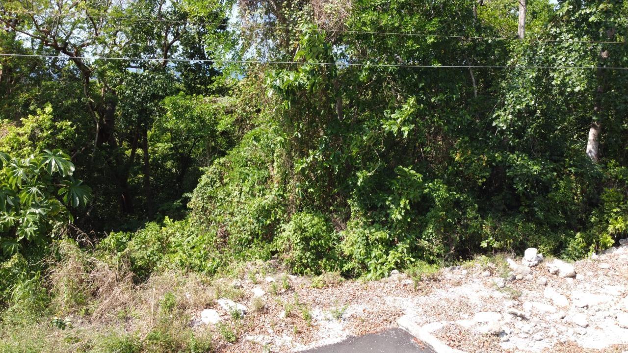 Ocean-View-Residential-Lot-for-Sale-in-Roystonea-Tower-Isle-St.-Mary-Jamaica Twelfth image of Roystonea, Tower Isle in Tower Isle, St. Mary, Jamaica - property is For Sale