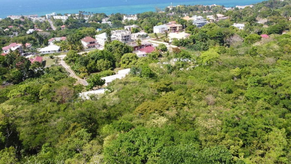 Fourteenth image of Roystonea, Tower Isle in Tower Isle, St. Mary, Jamaica - property is For Sale