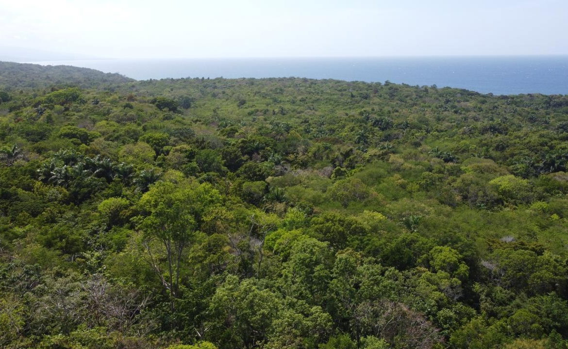 Sixteenth image of Roystonea, Tower Isle in Tower Isle, St. Mary, Jamaica - property is For Sale