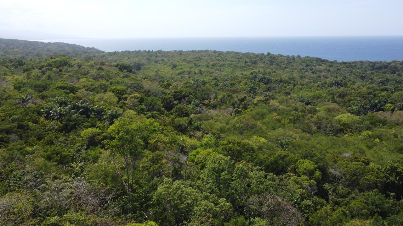 Ocean-View-Residential-Lot-for-Sale-in-Roystonea-Tower-Isle-St.-Mary-Jamaica Sixteenth image of Roystonea, Tower Isle in Tower Isle, St. Mary, Jamaica - property is For Sale