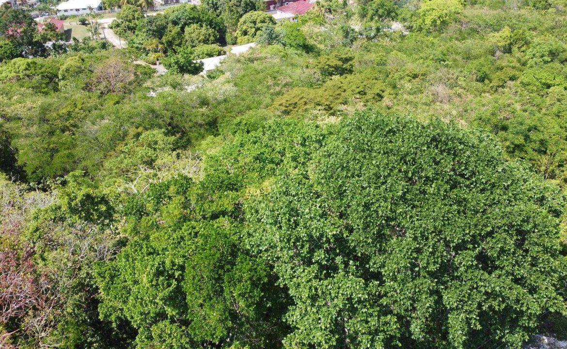 Seventeenth image of Roystonea, Tower Isle in Tower Isle, St. Mary, Jamaica - property is For Sale
