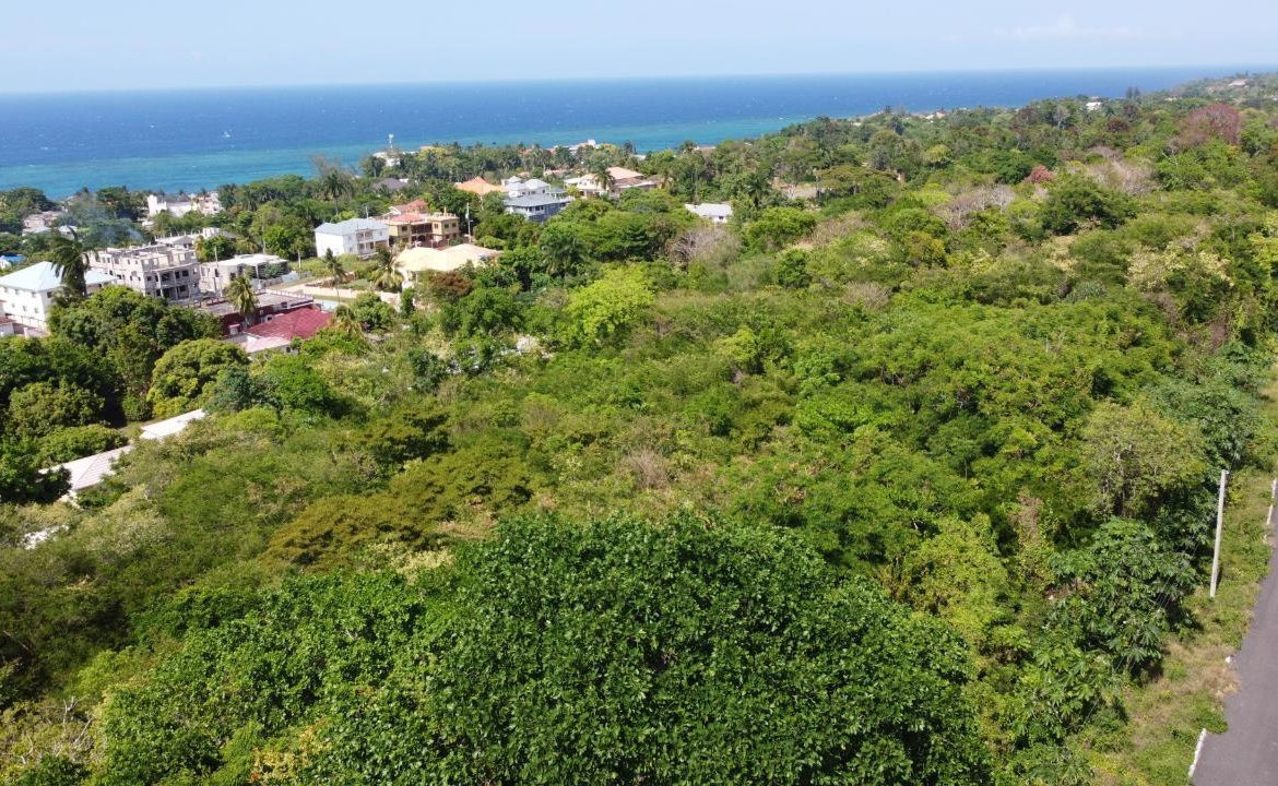 Eighteenth image of Roystonea, Tower Isle in Tower Isle, St. Mary, Jamaica - property is For Sale