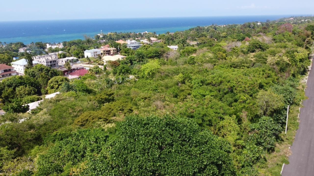 Ocean-View-Residential-Lot-for-Sale-in-Roystonea-Tower-Isle-St.-Mary-Jamaica Eighteenth image of Roystonea, Tower Isle in Tower Isle, St. Mary, Jamaica - property is For Sale