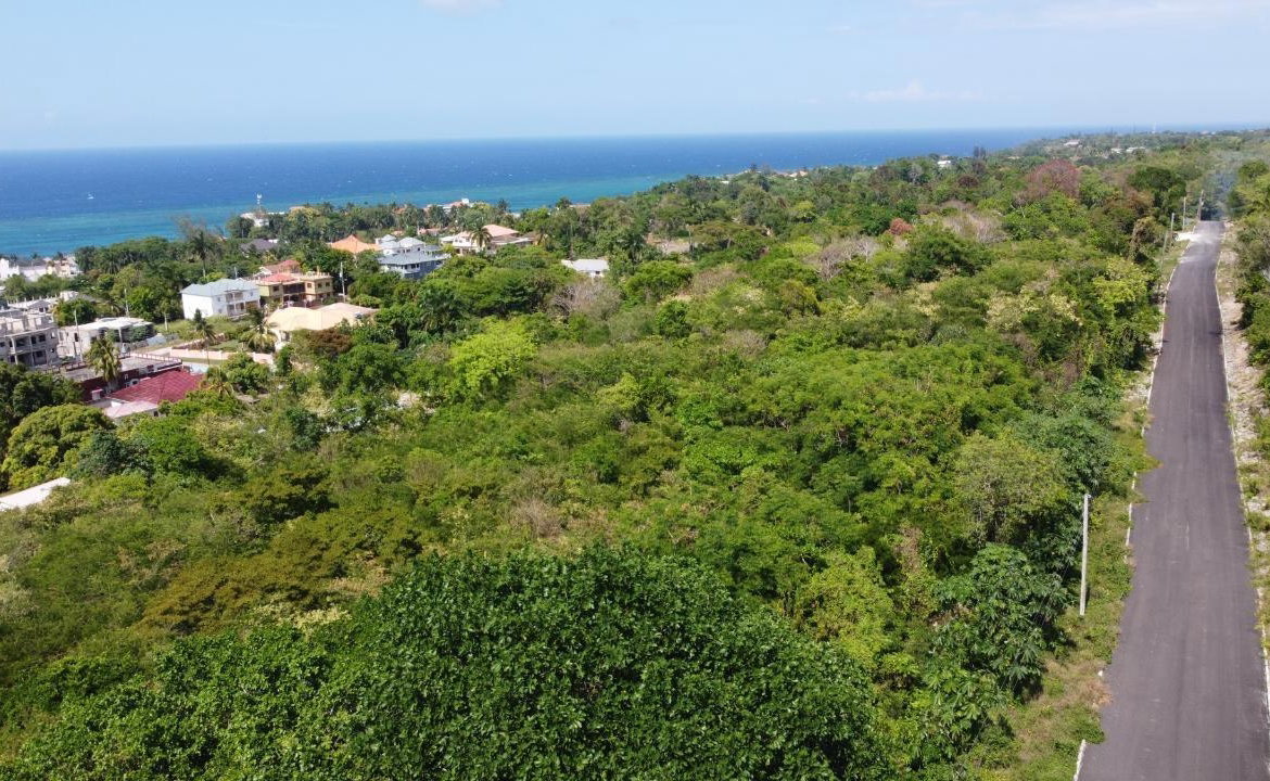 Nineteenth image of Roystonea, Tower Isle in Tower Isle, St. Mary, Jamaica - property is For Sale