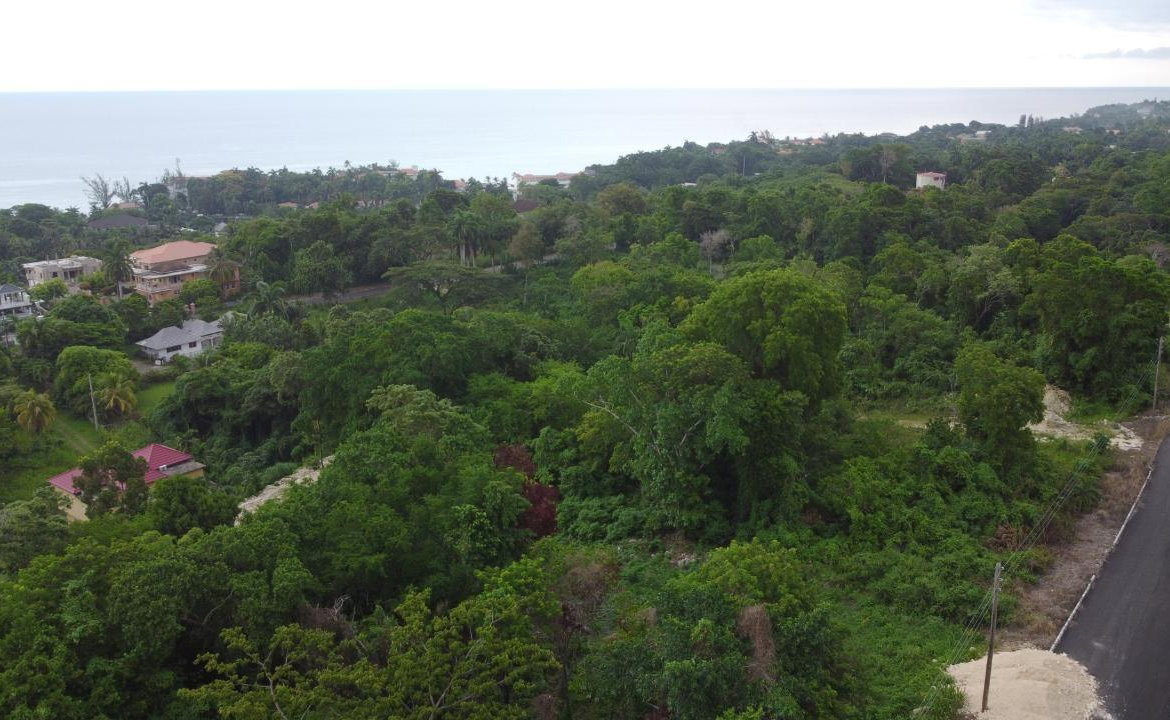 Third image of Roystonea, Tower Isle in Tower Isle, St. Mary, Jamaica - property is For Sale