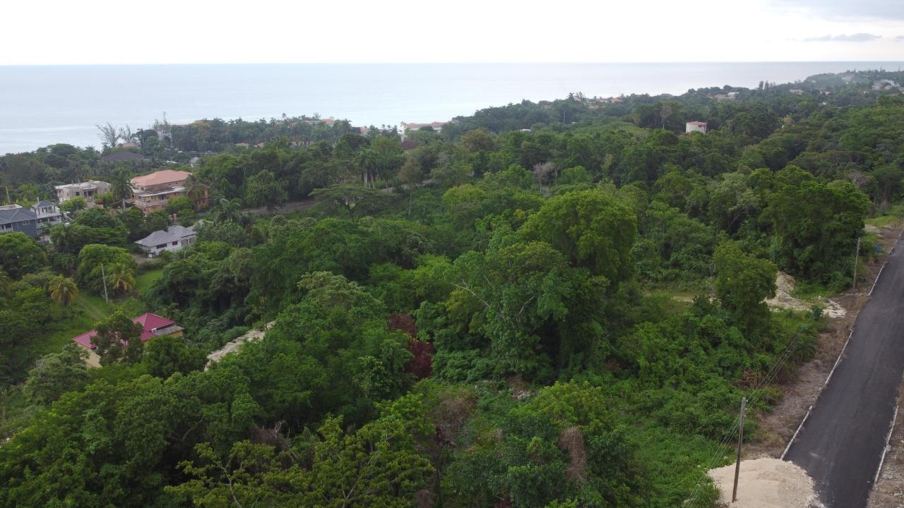 Ocean-View-Residential-Lot-for-Sale-in-Roystonea-Tower-Isle-St.-Mary-Jamaica Third image of Roystonea, Tower Isle in Tower Isle, St. Mary, Jamaica - property is For Sale
