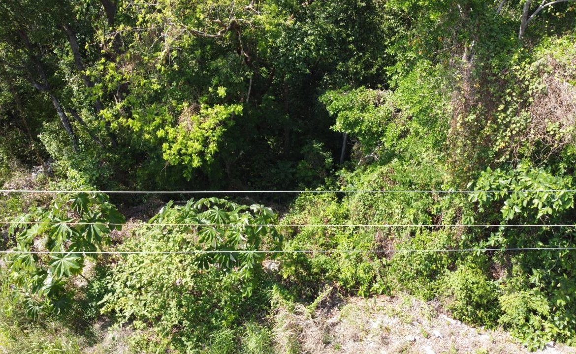 Fifth image of Roystonea, Tower Isle in Tower Isle, St. Mary, Jamaica - property is For Sale
