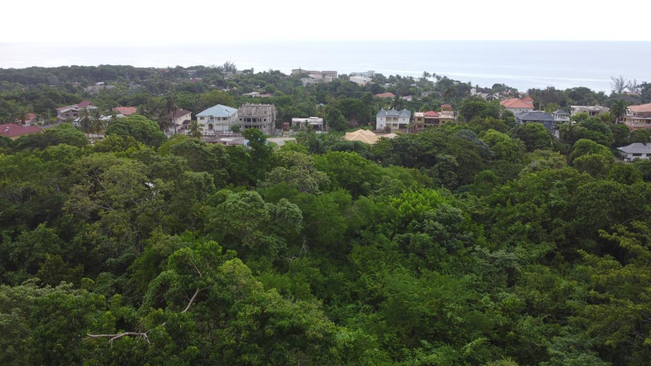 Ocean-View-Residential-Lot-for-Sale-in-Roystonea-Tower-Isle-St.-Mary-Jamaica Seventh image of Roystonea, Tower Isle in Tower Isle, St. Mary, Jamaica - property is For Sale