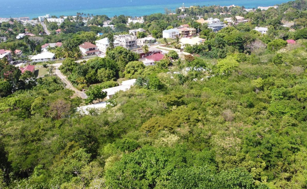Tenth image of Roystonea, Tower Isle in Tower Isle, St. Mary, Jamaica - property is For Sale