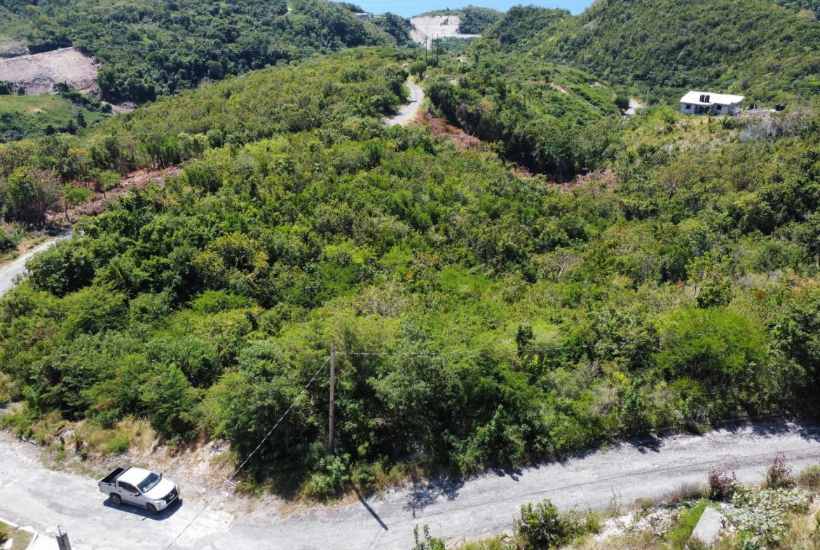 Fourth image of 166 Santa Cruz Blvd in Spring Garden, St. Thomas, Jamaica - property is For Sale