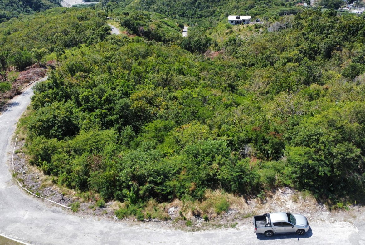 Sixth image of 166 Santa Cruz Blvd in Spring Garden, St. Thomas, Jamaica - property is For Sale
