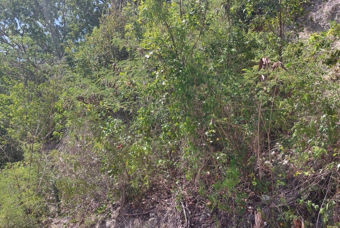 Eleventh image of 91- Santa Cruz Boulevard, st in Albion Estate, St. Thomas, Jamaica - property is For Sale